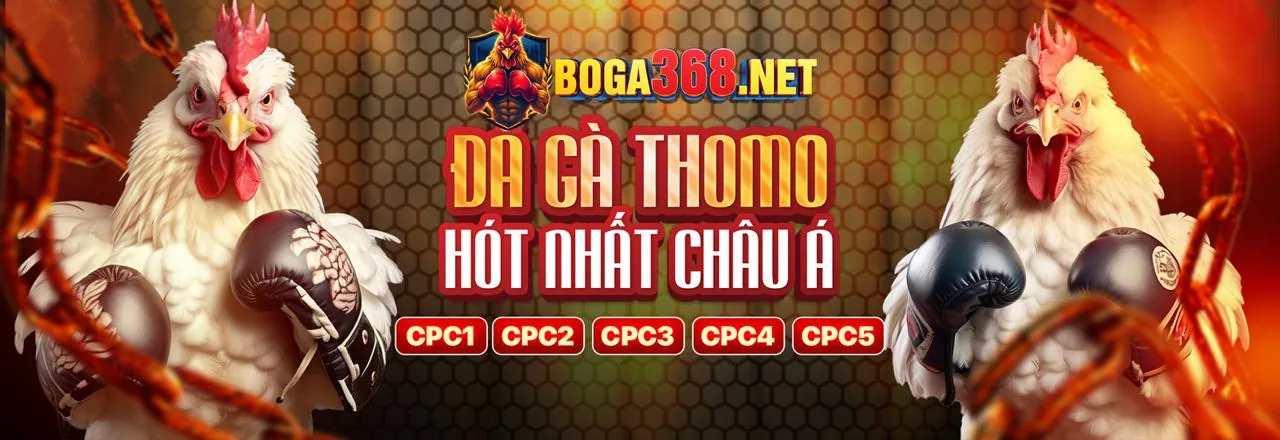 Hướng dẫn chơi game nohu666